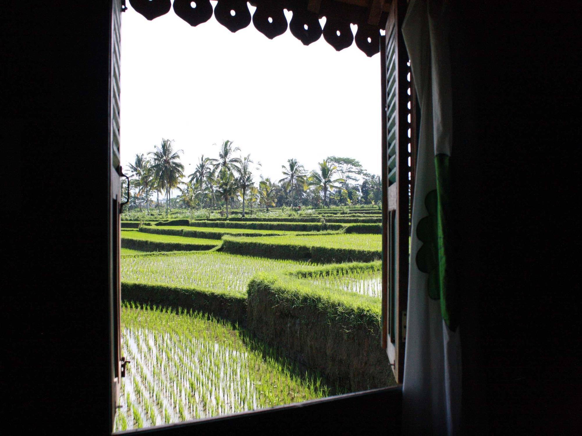Hati Padi Cottages Ubud  Luaran gambar