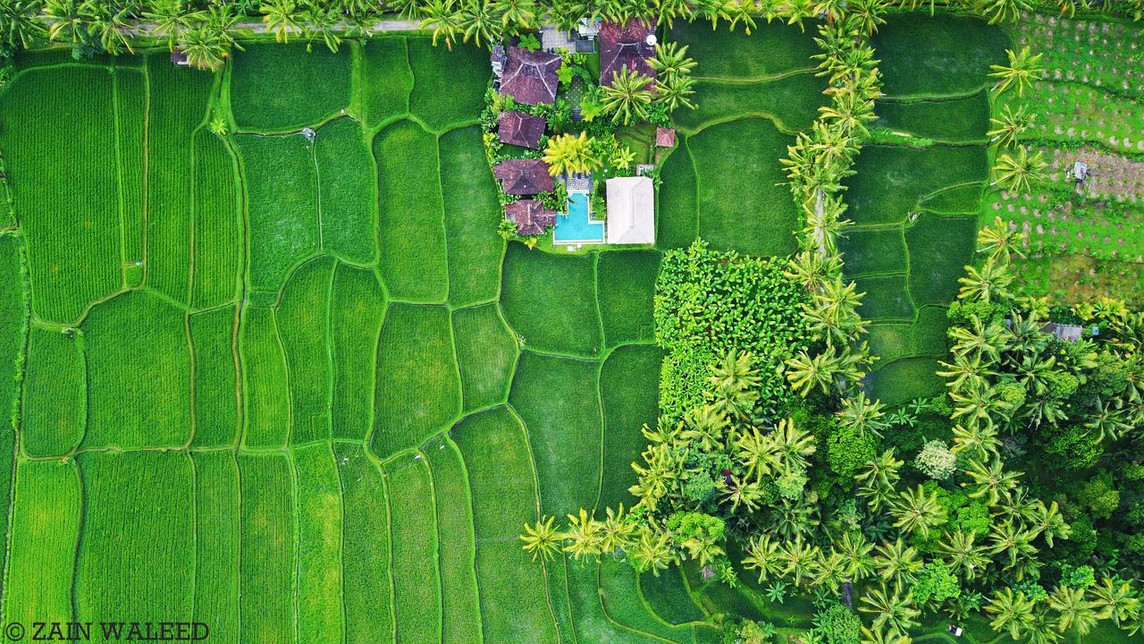 Hati Padi Cottages Ubud  Luaran gambar