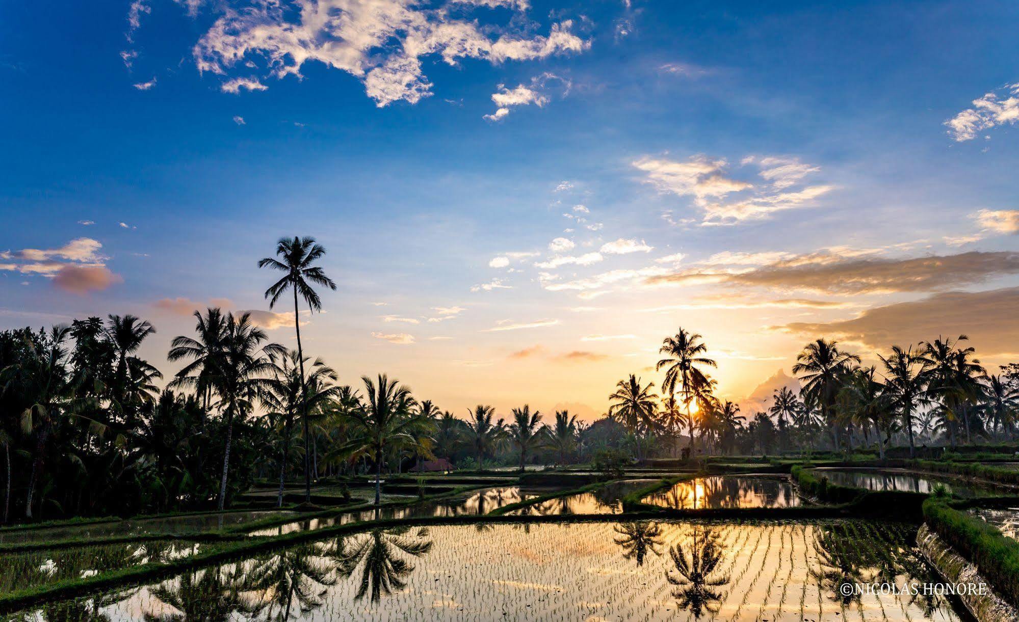 Hati Padi Cottages Ubud  Luaran gambar