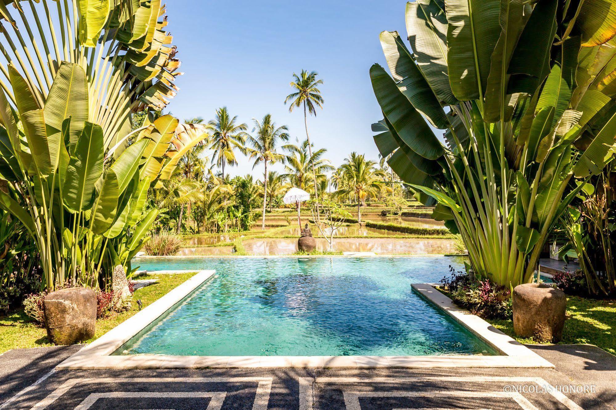 Hati Padi Cottages Ubud  Luaran gambar